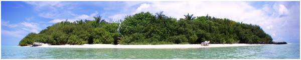 flash banner